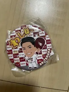 楽天イーグルス 田中和基 わしほー缶バッチ