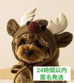 Item thumbnail for item b7f91075-43fb-4b66-a27b-a419ae0860d4