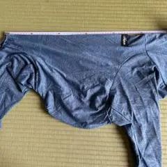 Item thumbnail for item 650883a5-080f-426e-b9ab-d18f98bae666