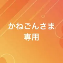 かねごんさま専用です