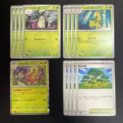 チコリータ　ベイリーフ　メガニウム　活力の森　進化ライン