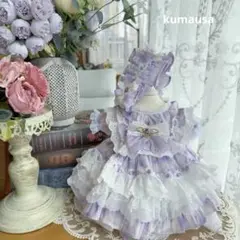 番号2343