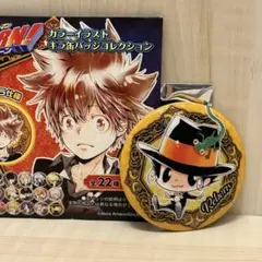 【新品】REBORN 中国限定　カラーイラストキラ缶バッジコレクション　リボーン
