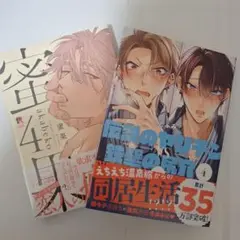 伝説の～VS鉄壁の～4　蜜果4 akabeko