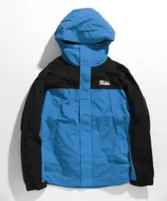 売り尽くし！美品！試着程度！ファーストダウンマウンテンパーカー