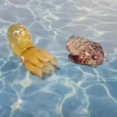 ガラス細工 アンモナイトと三葉虫セット