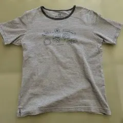 MCGREGOR ストライプ 半袖Tシャツ 美品