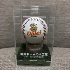 中日ドラゴンズ 井端弘和 48 サインボール 東京ドームの人工芝 中日ドラゴンズ 井端弘和 48 サインボール 東京ドームの人工芝