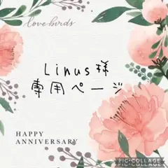 ねんどろいどどーる　オビツ11 服　クローバーTシャツ&パンツ２点セットno.4