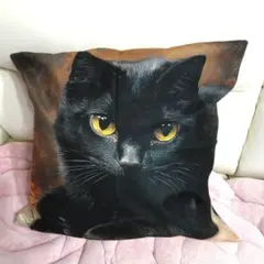 両面　黒猫デザイン クッションカバー