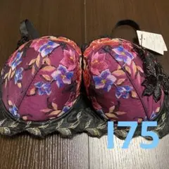 ワコール サルート 46グループ I75