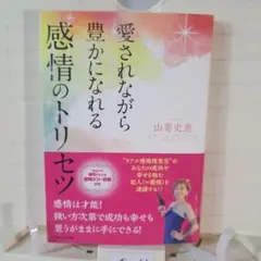 愛されながら豊かになれる感情のトリセツ ベストセラー 感情豊か　愛し方　愛され方