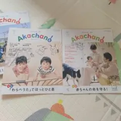 月刊赤ちゃんと　2冊セット
