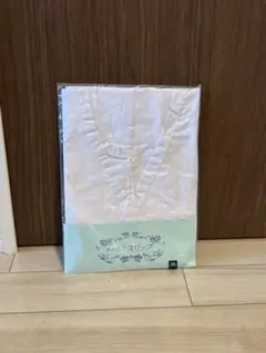 Item thumbnail for item fb732f53-a945-4748-9ab9-ebf7bc3c6622