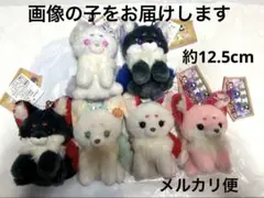 ちょコンと九尾さま 夢宵奇談 LMC マスコット ぬいぐるみ ナムコ 6点セット