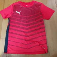 【美品】プーマ　Tシャツ　150