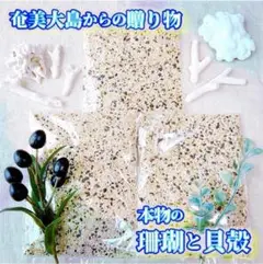 J【お得３つセット！】エメラルド色の海から採れた本物の珊瑚と貝殻の砂