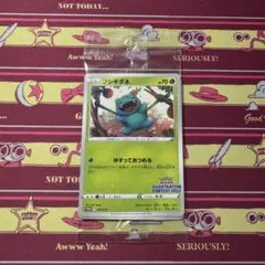 ポケモンカード illustration contest 2022 未開封
