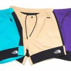THE NORTH FACE BEAMS UTILITY SHORT ノース