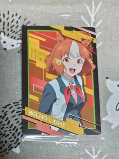 ベルノライト　（制服）内袋未開封品1枚