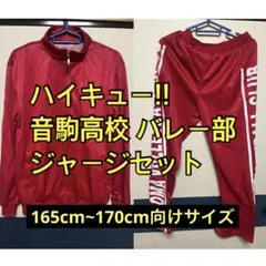 Item thumbnail for item d41a0863-4567-44f1-8895-fb3431d17aa4