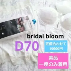 【フォロー割6000円⭐美品】ブライダルブルーム上下セット　D70　ビスチェ