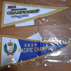 2024優勝ペナントミニタオル