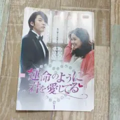【韓国ドラマ】運命のように君を愛してる　DVD 全10巻　全巻セット