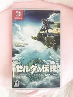ゼルダの伝説 ティアーズ オブ ザ キングダム