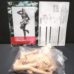 ボークス造形村/空山 基/ヴィーナスグラデーション【AMAZON】1/4スケール ボークス造形村/空山 基/ヴィーナスグラデーション【AMAZON】1/4