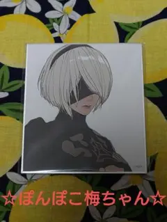 NieR 消セナイ記録 ニーア ミニ 色紙 2B