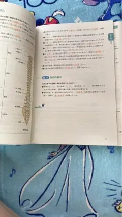 スタートアップトレーニング