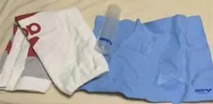 Item thumbnail for item 53097621-9df3-45a1-ad6d-ce8dab1606c4