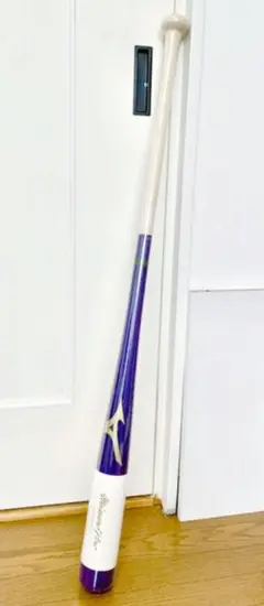 ミズノプロ ノック用 バット