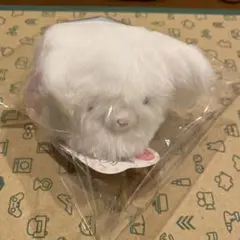 ぶるぶるうさぴょんかけっこ