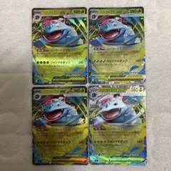 メガフシギバナ ex rr 4枚