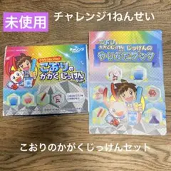 自由研究に！　チャレンジ1ねんせい　こおりのかがくじっけんセット