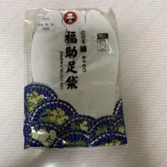 Item thumbnail for item fe5298f6-cfee-4d09-a2f1-1d894e026d6c