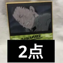 NARUTO ナルト トレーディングミニ色紙 場面写 シカマル