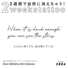 2週間で消える♡ジャグアタトゥーシール