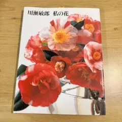 【初版】川瀬敏郎 私の花