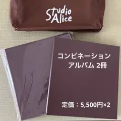 スタジオアリス コンビネーションアルバム ブラウン 増えデジ