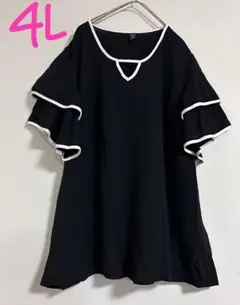 【新品タグなし　大きいサイズ】バイカラー袖フレアブラウス4L