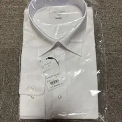 Item thumbnail for item b816b163-435c-4925-a28c-b28eb97548de