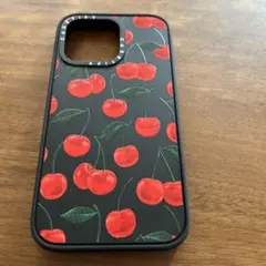 ケイスティファイケースiPhone１３Pro