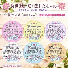 O15 お世話になりましたサンキュー入シール カフェタイム猫ちゃん 丸型 48枚