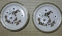 花柄クリーム色皿2枚セット