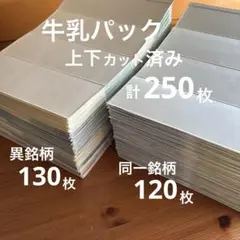 牛乳パック 250枚 上下カット済み 夏休み工作 自由研究