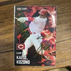 プロ野球チップスカード