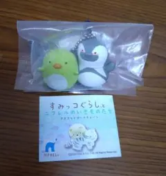 すみっコぐらしとニフレルのいきものたち ケープペンギンとぺんぎん？ リーフレット